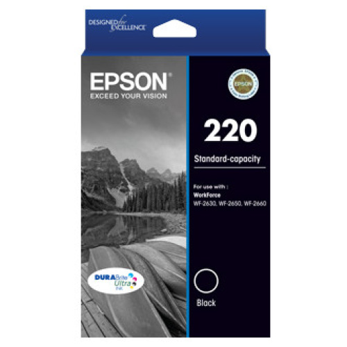Epson C13T293192 220 Standard Capacity DURABrite Ultra Black ink
