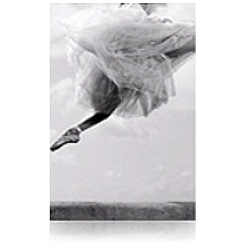 Epson C13S041637 Velvet Fine Art Paper (20 Sheets)