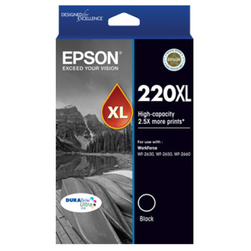 Epson C13T294192 220XL High Capacity DURABrite Ultra Black ink