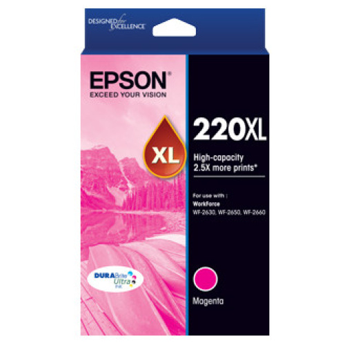 Epson C13T294392 220XL High Capacity DURABrite Ultra Magenta ink