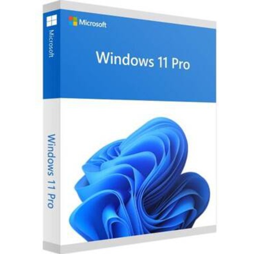 Microsoft FQC-10528 Windows 11 Pro 64 Bit, 1 Pack, DSP OEM DVD