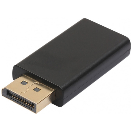 Display Port Male to HDMI Female Adapter